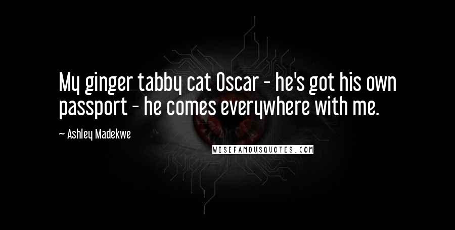 Ashley Madekwe Quotes: My ginger tabby cat Oscar - he's got his own passport - he comes everywhere with me.