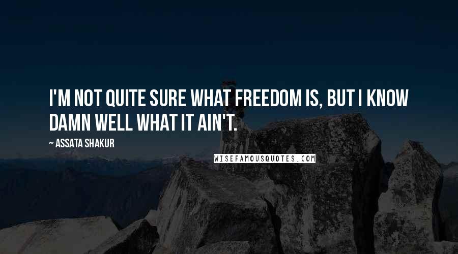 Assata Shakur Quotes: I'm not quite sure what freedom is, but I know damn well what it ain't.