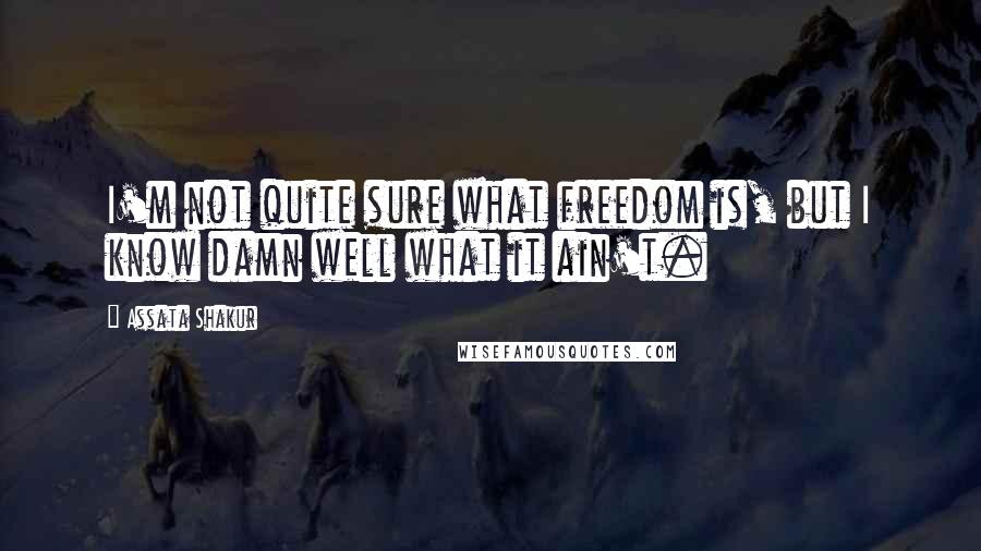 Assata Shakur Quotes: I'm not quite sure what freedom is, but I know damn well what it ain't.