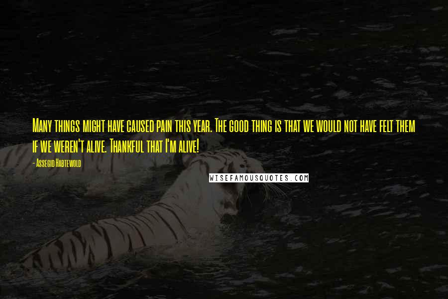 Assegid Habtewold Quotes: Many things might have caused pain this year. The good thing is that we would not have felt them if we weren't alive. Thankful that I'm alive!