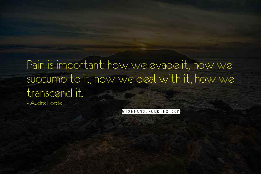 Audre Lorde Quotes: Pain is important: how we evade it, how we succumb to it, how we deal with it, how we transcend it.