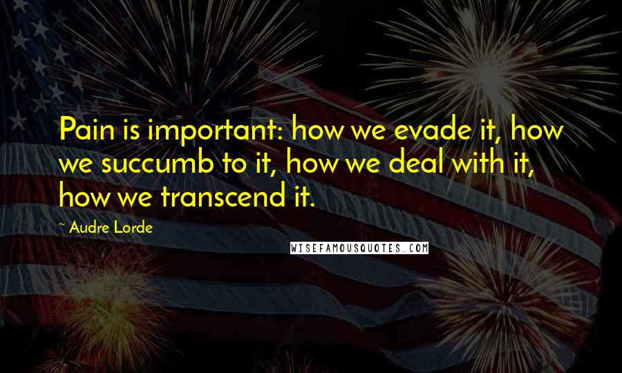 Audre Lorde Quotes: Pain is important: how we evade it, how we succumb to it, how we deal with it, how we transcend it.