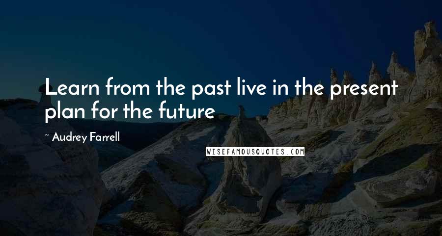 Audrey Farrell Quotes: Learn from the past live in the present plan for the future