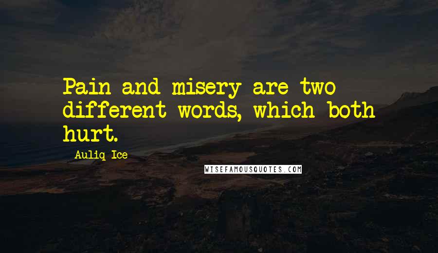 Auliq Ice Quotes: Pain and misery are two different words, which both hurt.