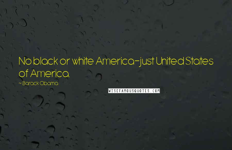 Barack Obama Quotes: No black or white America-just United States of America.