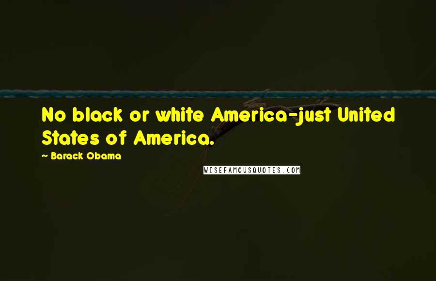 Barack Obama Quotes: No black or white America-just United States of America.