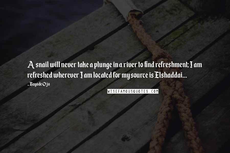 Bayode Ojo Quotes: A snail will never take a plunge in a river to find refreshment; I am refreshed wherever I am located for my source is Elshaddai...