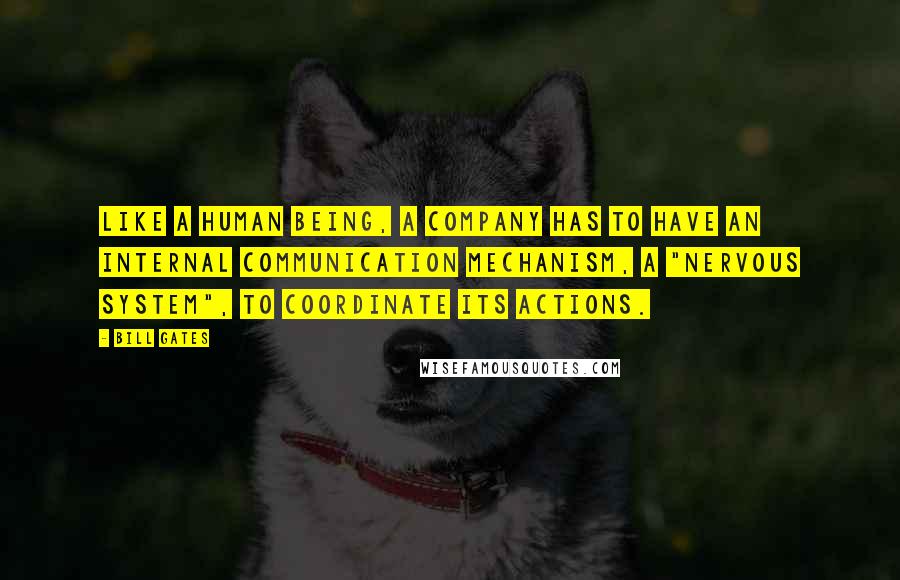 Bill Gates Quotes: Like a human being, a company has to have an internal communication mechanism, a "nervous system", to coordinate its actions.