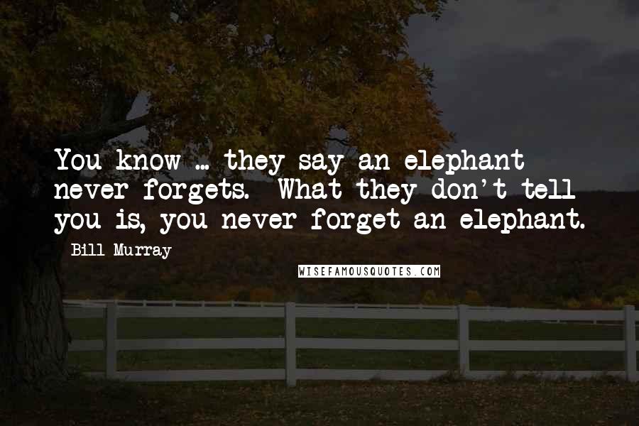 Bill Murray Quotes: You know ... they say an elephant never forgets.  What they don't tell you is, you never forget an elephant.