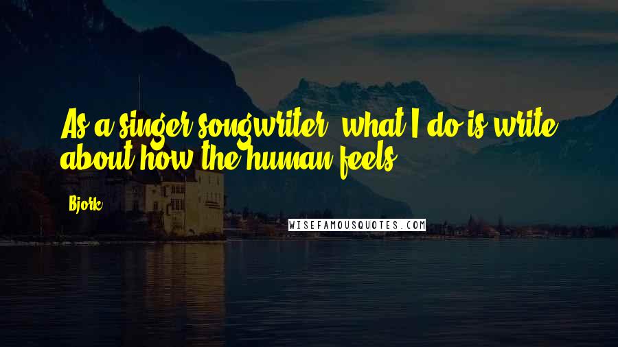 Bjork Quotes: As a singer-songwriter, what I do is write about how the human feels.