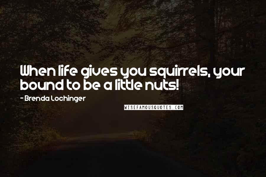 Brenda Lochinger Quotes: When life gives you squirrels, your bound to be a little nuts!