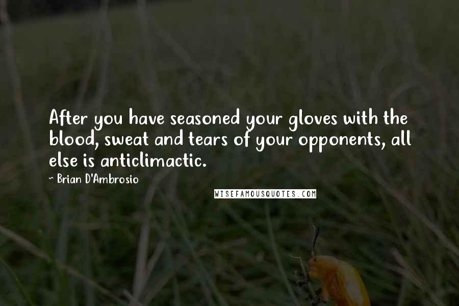 Brian D'Ambrosio Quotes: After you have seasoned your gloves with the blood, sweat and tears of your opponents, all else is anticlimactic.