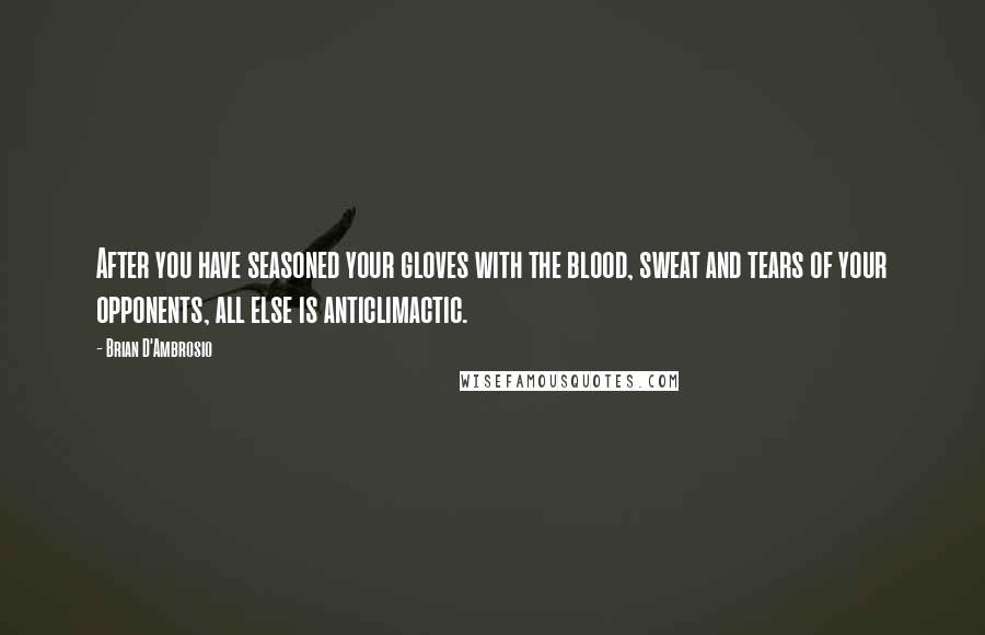 Brian D'Ambrosio Quotes: After you have seasoned your gloves with the blood, sweat and tears of your opponents, all else is anticlimactic.