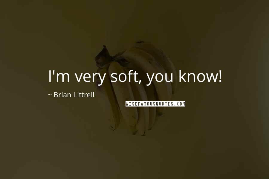 Brian Littrell Quotes: I'm very soft, you know!