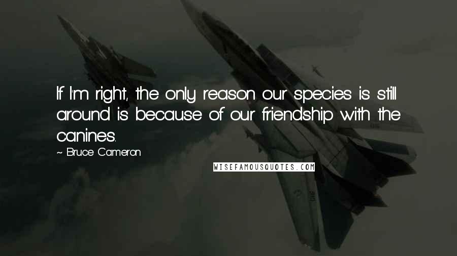 Bruce Cameron Quotes: If I'm right, the only reason our species is still around is because of our friendship with the canines.