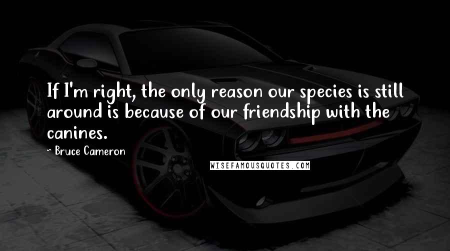 Bruce Cameron Quotes: If I'm right, the only reason our species is still around is because of our friendship with the canines.