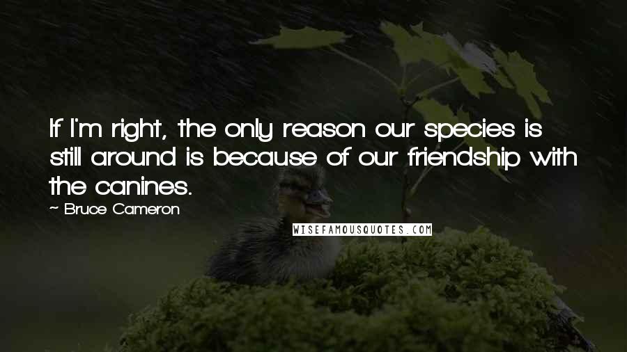 Bruce Cameron Quotes: If I'm right, the only reason our species is still around is because of our friendship with the canines.