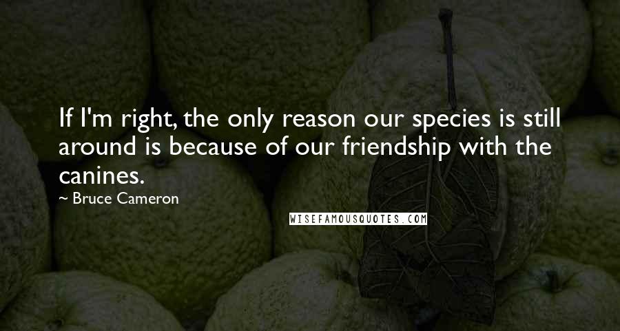 Bruce Cameron Quotes: If I'm right, the only reason our species is still around is because of our friendship with the canines.