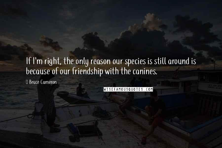 Bruce Cameron Quotes: If I'm right, the only reason our species is still around is because of our friendship with the canines.