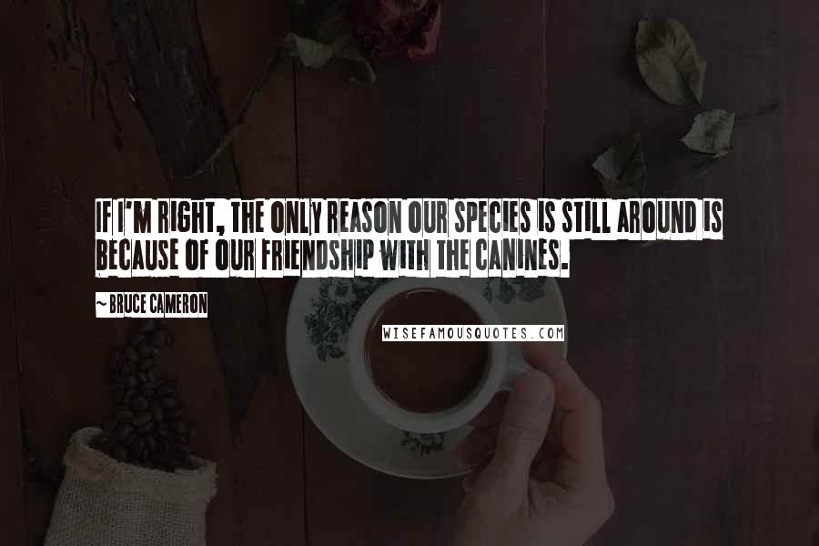 Bruce Cameron Quotes: If I'm right, the only reason our species is still around is because of our friendship with the canines.