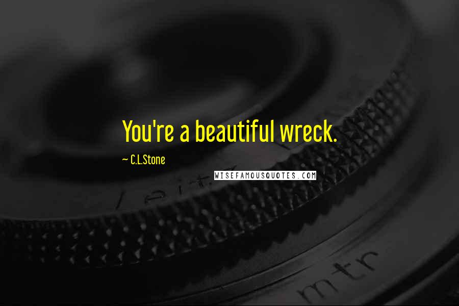 C.L.Stone Quotes: You're a beautiful wreck.