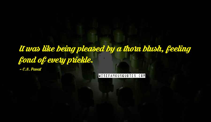 C.S. Pacat Quotes: It was like being pleased by a thorn blush, feeling fond of every prickle.