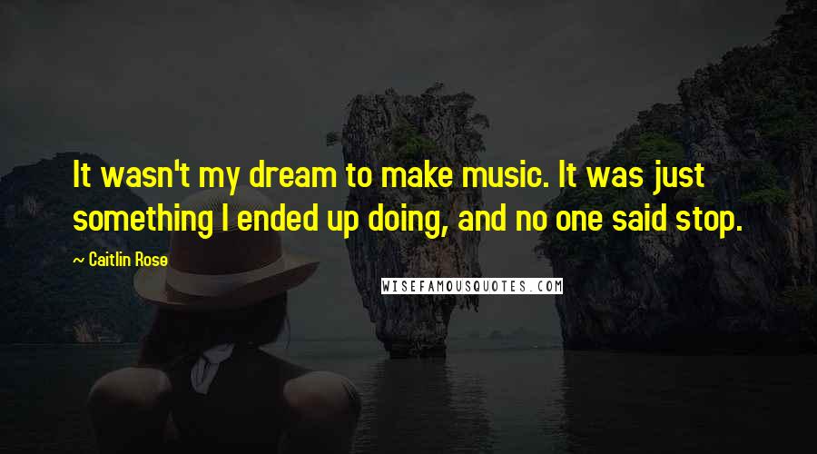 Caitlin Rose Quotes: It wasn't my dream to make music. It was just something I ended up doing, and no one said stop.