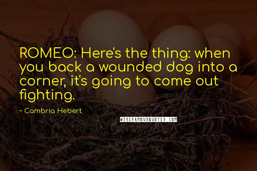 Cambria Hebert Quotes: ROMEO: Here's the thing: when you back a wounded dog into a corner, it's going to come out fighting.