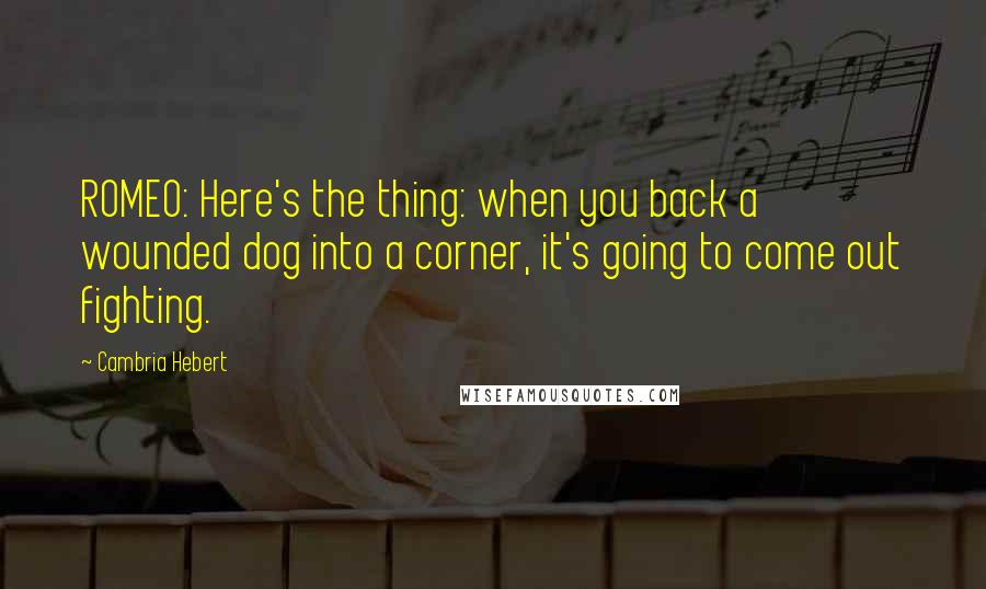 Cambria Hebert Quotes: ROMEO: Here's the thing: when you back a wounded dog into a corner, it's going to come out fighting.