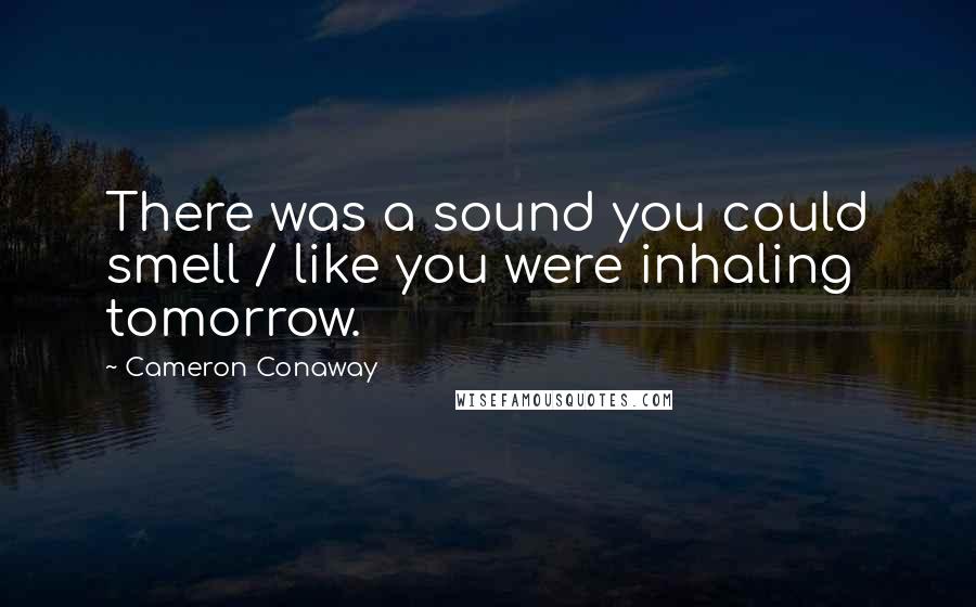 Cameron Conaway Quotes: There was a sound you could smell / like you were inhaling tomorrow.