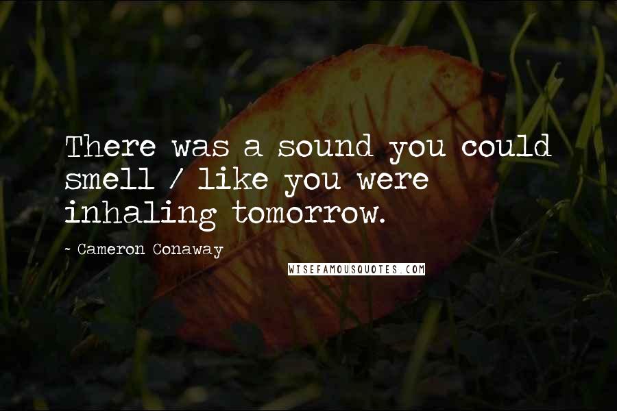 Cameron Conaway Quotes: There was a sound you could smell / like you were inhaling tomorrow.