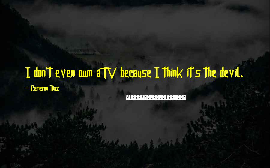 Cameron Diaz Quotes: I don't even own a TV because I think it's the devil.