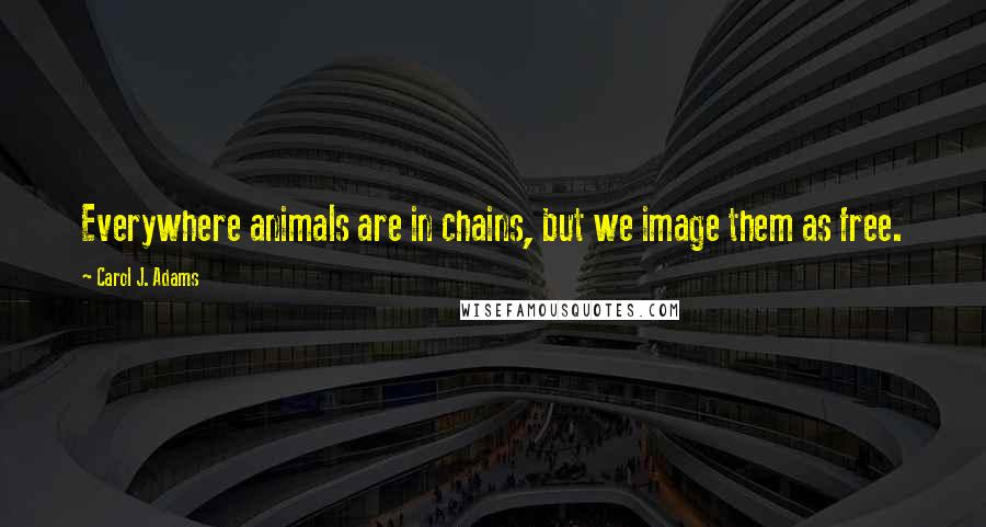 Carol J. Adams Quotes: Everywhere animals are in chains, but we image them as free.