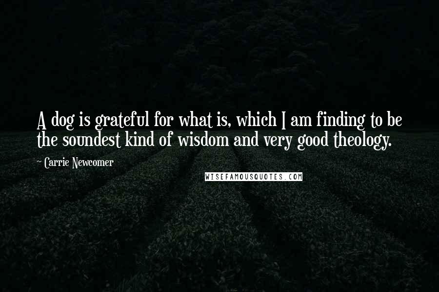 Carrie Newcomer Quotes: A dog is grateful for what is, which I am finding to be the soundest kind of wisdom and very good theology.