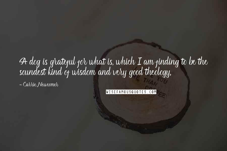 Carrie Newcomer Quotes: A dog is grateful for what is, which I am finding to be the soundest kind of wisdom and very good theology.