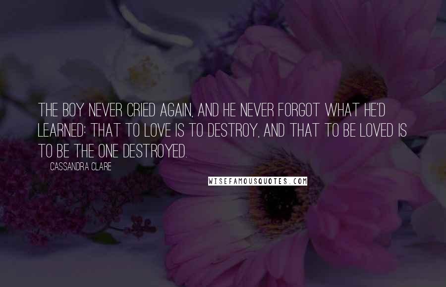 Cassandra Clare Quotes: The boy never cried again, and he never forgot what he'd learned: that to love is to destroy, and that to be loved is to be the one destroyed.