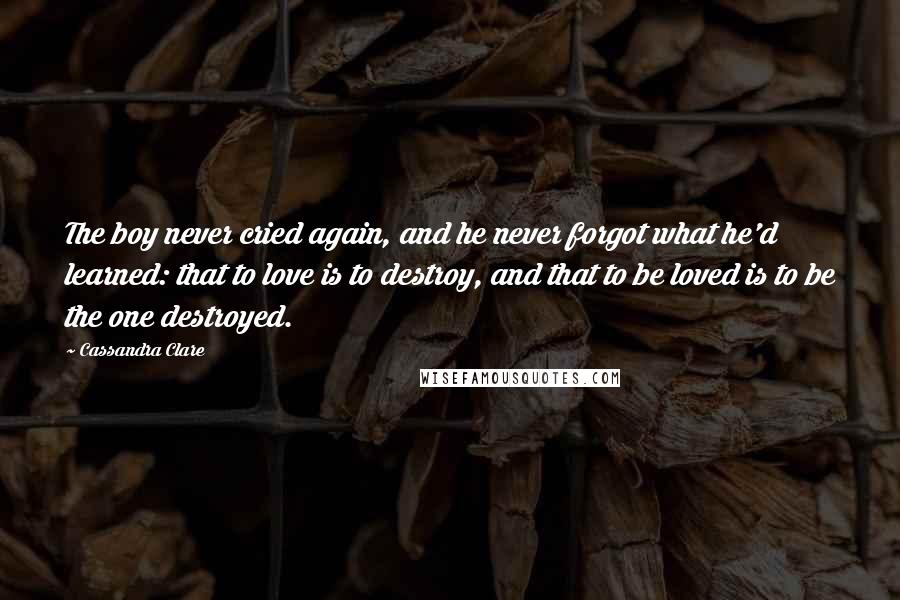 Cassandra Clare Quotes: The boy never cried again, and he never forgot what he'd learned: that to love is to destroy, and that to be loved is to be the one destroyed.