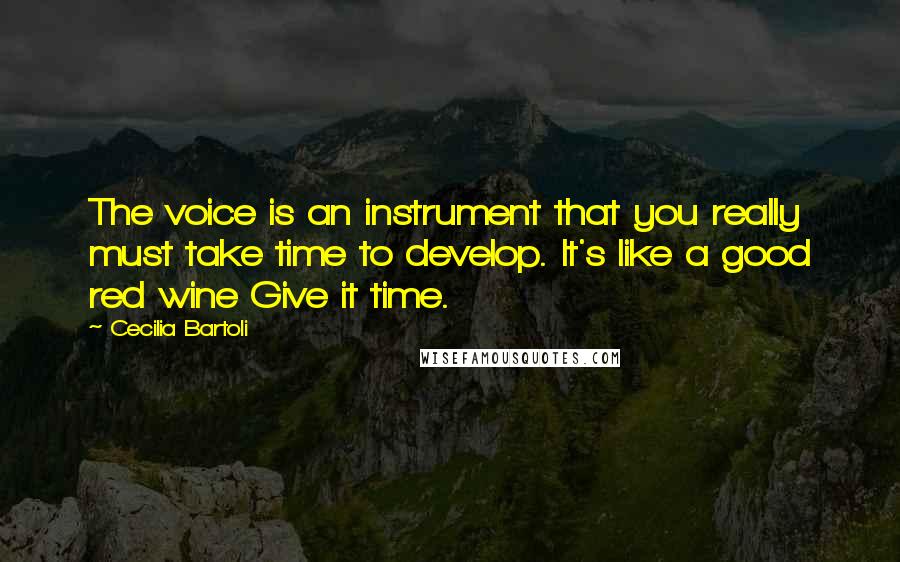 Cecilia Bartoli Quotes: The voice is an instrument that you really must take time to develop. It's like a good red wine Give it time.