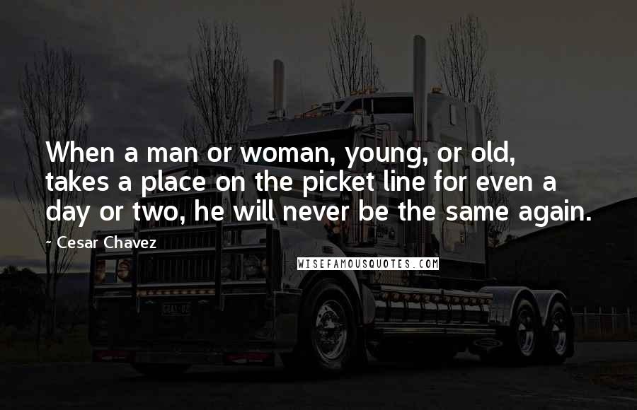 Cesar Chavez Quotes: When a man or woman, young, or old, takes a place on the picket line for even a day or two, he will never be the same again.