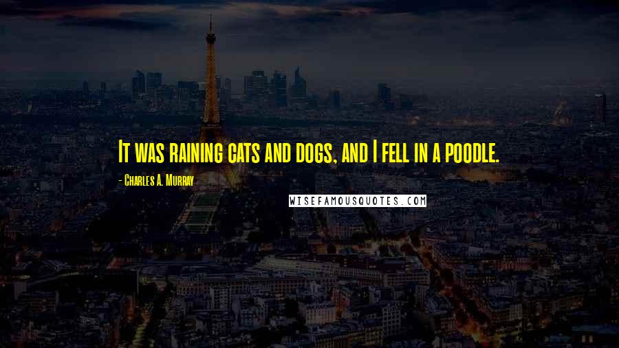 Charles A. Murray Quotes: It was raining cats and dogs, and I fell in a poodle.