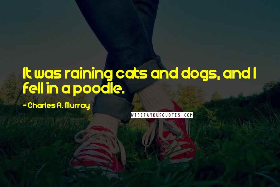 Charles A. Murray Quotes: It was raining cats and dogs, and I fell in a poodle.