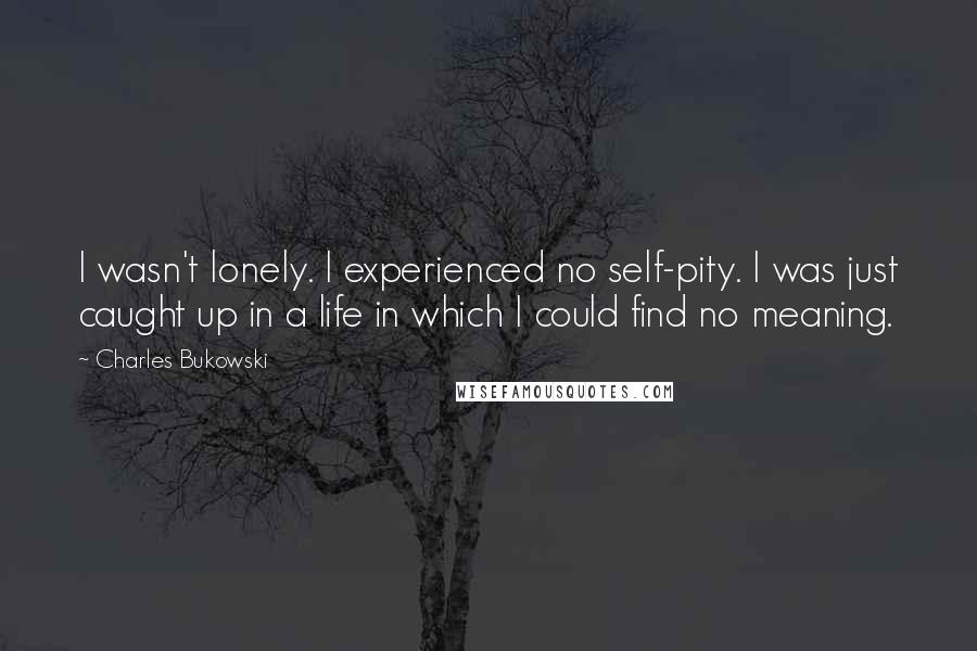 Charles Bukowski Quotes: I wasn't lonely. I experienced no self-pity. I was just caught up in a life in which I could find no meaning.