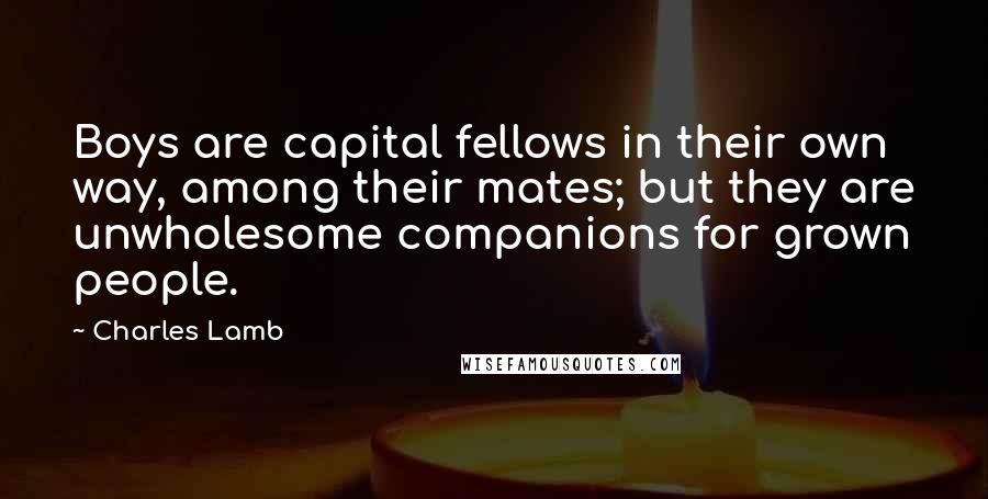 Charles Lamb Quotes: Boys are capital fellows in their own way, among their mates; but they are unwholesome companions for grown people.