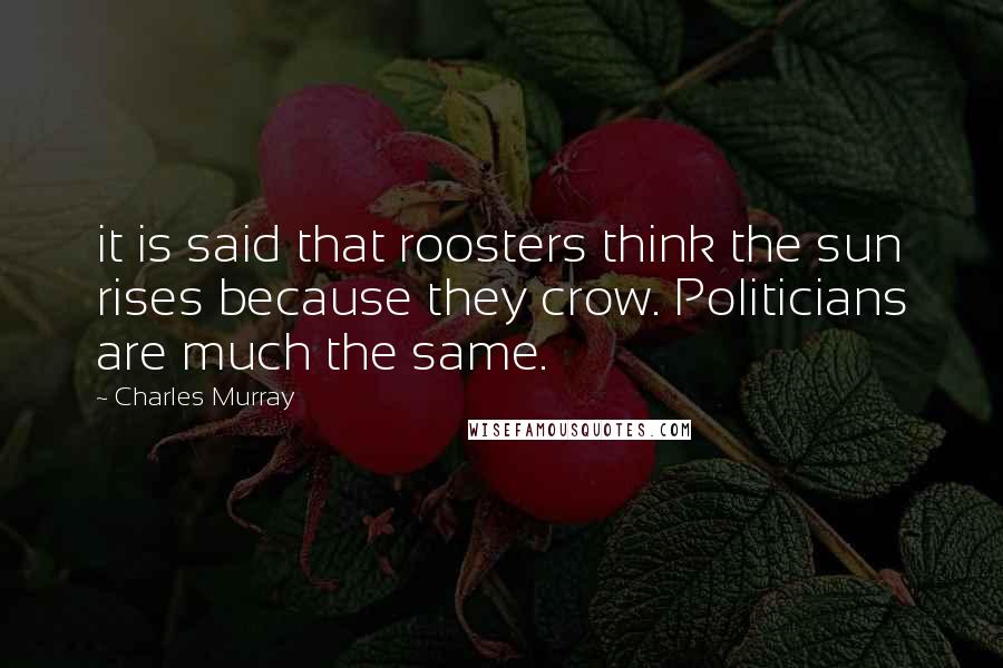 Charles Murray Quotes: it is said that roosters think the sun rises because they crow. Politicians are much the same.