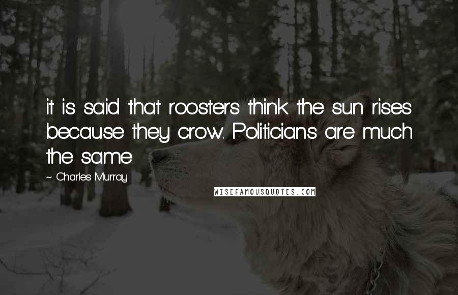 Charles Murray Quotes: it is said that roosters think the sun rises because they crow. Politicians are much the same.