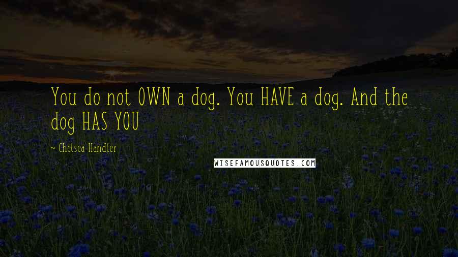 Chelsea Handler Quotes: You do not OWN a dog. You HAVE a dog. And the dog HAS YOU