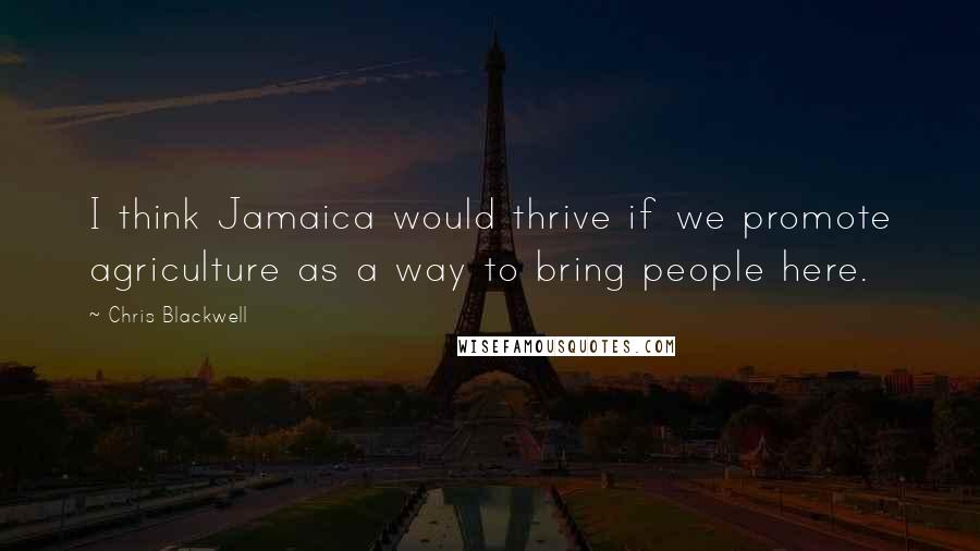 Chris Blackwell Quotes: I think Jamaica would thrive if we promote agriculture as a way to bring people here.