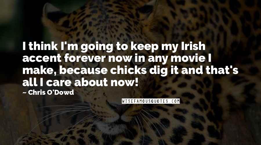 Chris O'Dowd Quotes: I think I'm going to keep my Irish accent forever now in any movie I make, because chicks dig it and that's all I care about now!