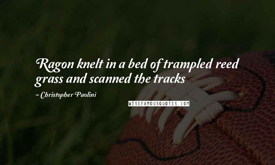 Christopher Paolini Quotes: Ragon knelt in a bed of trampled reed grass and scanned the tracks