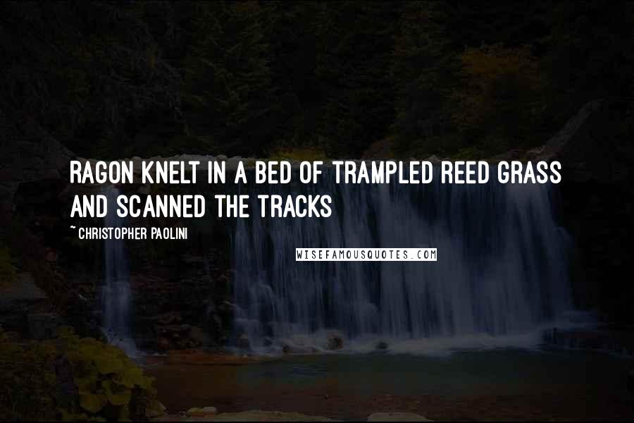 Christopher Paolini Quotes: Ragon knelt in a bed of trampled reed grass and scanned the tracks